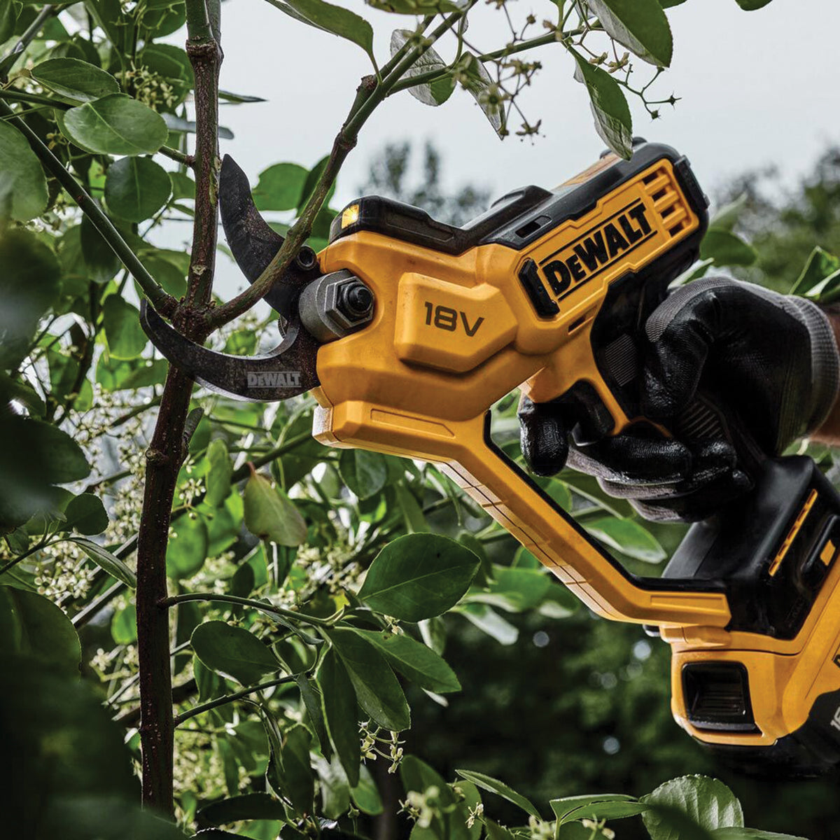 18V XR 5.0Ah Scissor Pruner in TSTACK CASE and ACCESSORIES - DeWALT - DCMPP568P1-QW 18V XR 5.0Ah Scissor Pruner in TSTACK CASE and ACCESSORIES - DeWALT - DCMPP568P1-QW